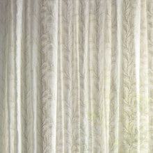 237754 Sea Fern Seaspray White Sanderson Sheers Fabric by Sanderson