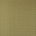 Sabu Stripe Olivine/Gold Sabu Stripes & Ikats Fabric by Sanderson