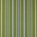Latimer Stripe Avocado/Indigo Sabu Stripes & Ikats Fabric by Sanderson