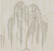 Willow Glow Light Taupe After Eight Wallpaper by York Wallcoverings