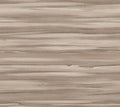 Sanctuary Tan After Eight Wallpaper by York Wallcoverings