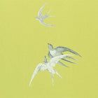 DVIWSW101 Swallows One Sixty Wallpaper By Sanderson
