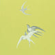 Swallows One Sixty Wallpaper By Sanderson
