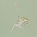 Swallows One Sixty Wallpaper By Sanderson
