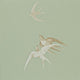 Swallows One Sixty Wallpaper By Sanderson