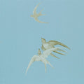 Swallows One Sixty Wallpaper By Sanderson
