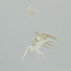 DVIWSW104 Swallows One Sixty Wallpaper By Sanderson
