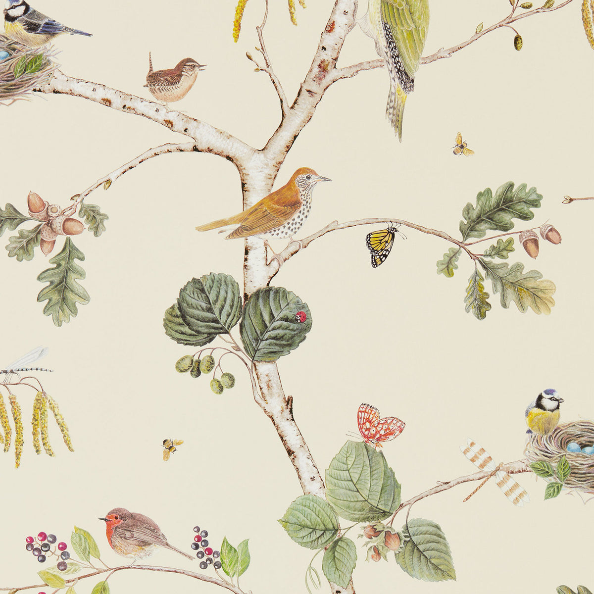 Woodland Chorus Arboretum Cream and Multi Wallpaper by Sanderson