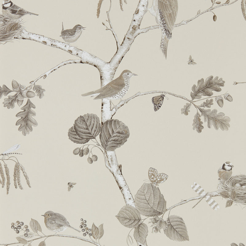 215704 Woodland Chorus Country Woodland Sepia and Neutral Wallpaper by Sanderson