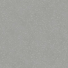 DWP0019-05 Lustre Metallic Silver Grey Wallpaper by Galerie