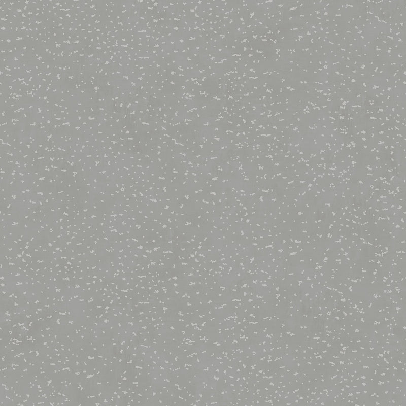 DWP0019-05 Lustre Metallic Silver Grey Wallpaper by Galerie