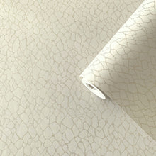 DWP0232-01 Webbing Boutique Metallic Cream Wallpaper by Galerie