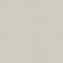 DWP0232-01 Webbing Boutique Metallic Cream Wallpaper by Galerie