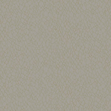 DWP0232-02 Webbing Boutique Metallic Beige Wallpaper by Galerie