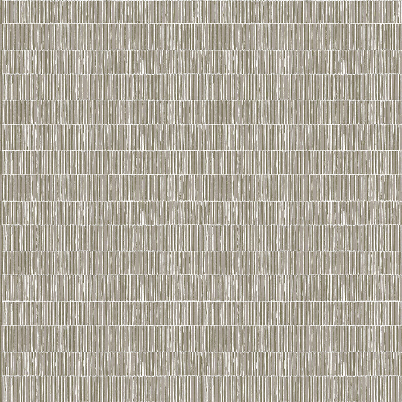 DWP0362-06 Bamboo Screen Zen Silver Grey Wallpaper By Galerie