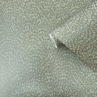 DWP0363-01 Fan Fleck Zen Green Wallpaper By Galerie