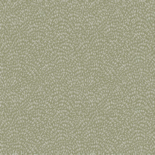 DWP0363-01 Fan Fleck Zen Green Wallpaper By Galerie