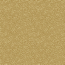 DWP0363-04 Fan Fleck Zen Gold Wallpaper By Galerie