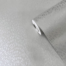 DWP0363-06 Fan Fleck Zen Silver Grey Wallpaper By Galerie