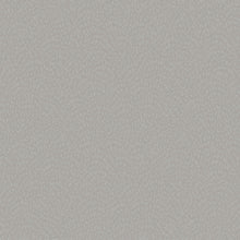 DWP0363-06 Fan Fleck Zen Silver Grey Wallpaper By Galerie