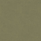 DWP0366-01 Plaster Fan Zen Gold Wallpaper By Galerie