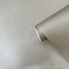 DWP0366-06 Plaster Fan Zen Silver Grey Wallpaper By Galerie