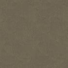 DWP0366-08 Plaster Fan Zen Rose Gold Wallpaper By Galerie