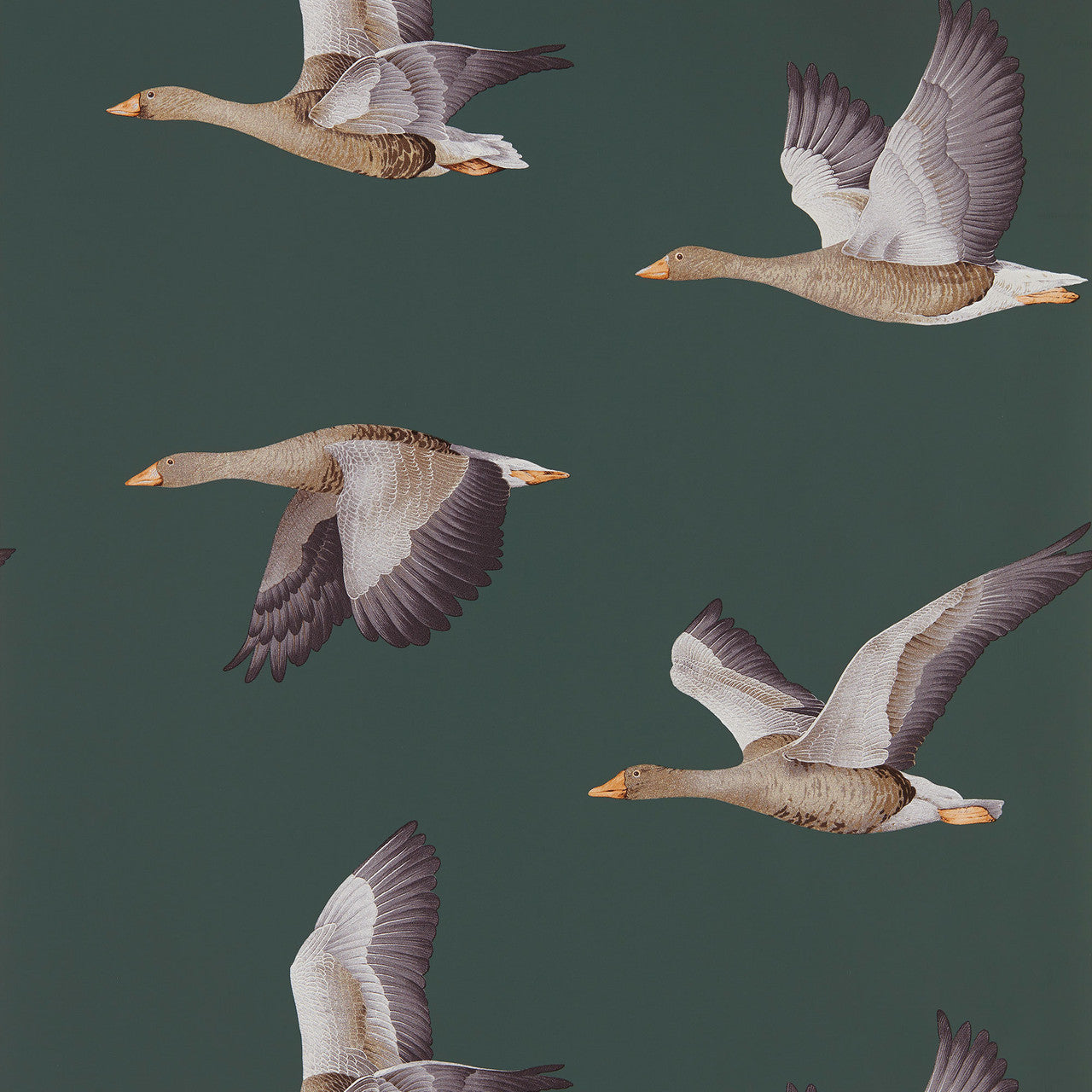 216608 Elysian Geese Arboretum Amsterdam Green Wallpaper by Sanderson