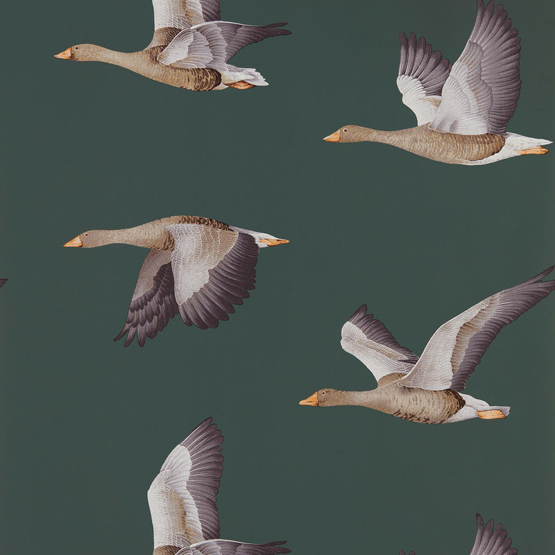 216608 Elysian Geese Arboretum Amsterdam Green Wallpaper by Sanderson
