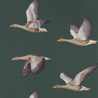 216608 Elysian Geese Elysian Wallpaper By Sanderson