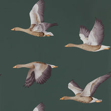 216608 Elysian Geese Elysian Wallpaper By Sanderson