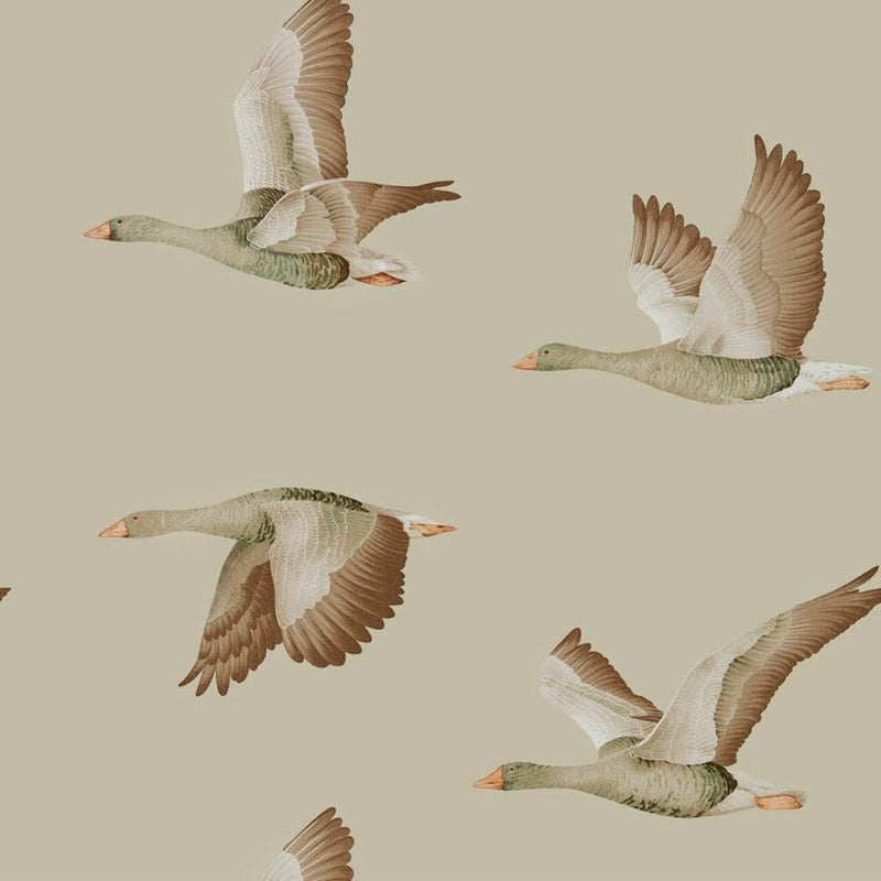 216609 Elysian Geese Elysian Wallpaper By Sanderson
