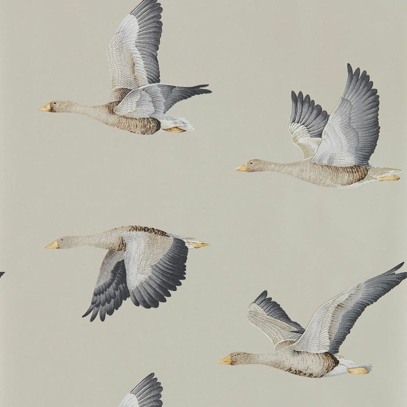 216611 Elysian Geese Elysian Wallpaper By Sanderson