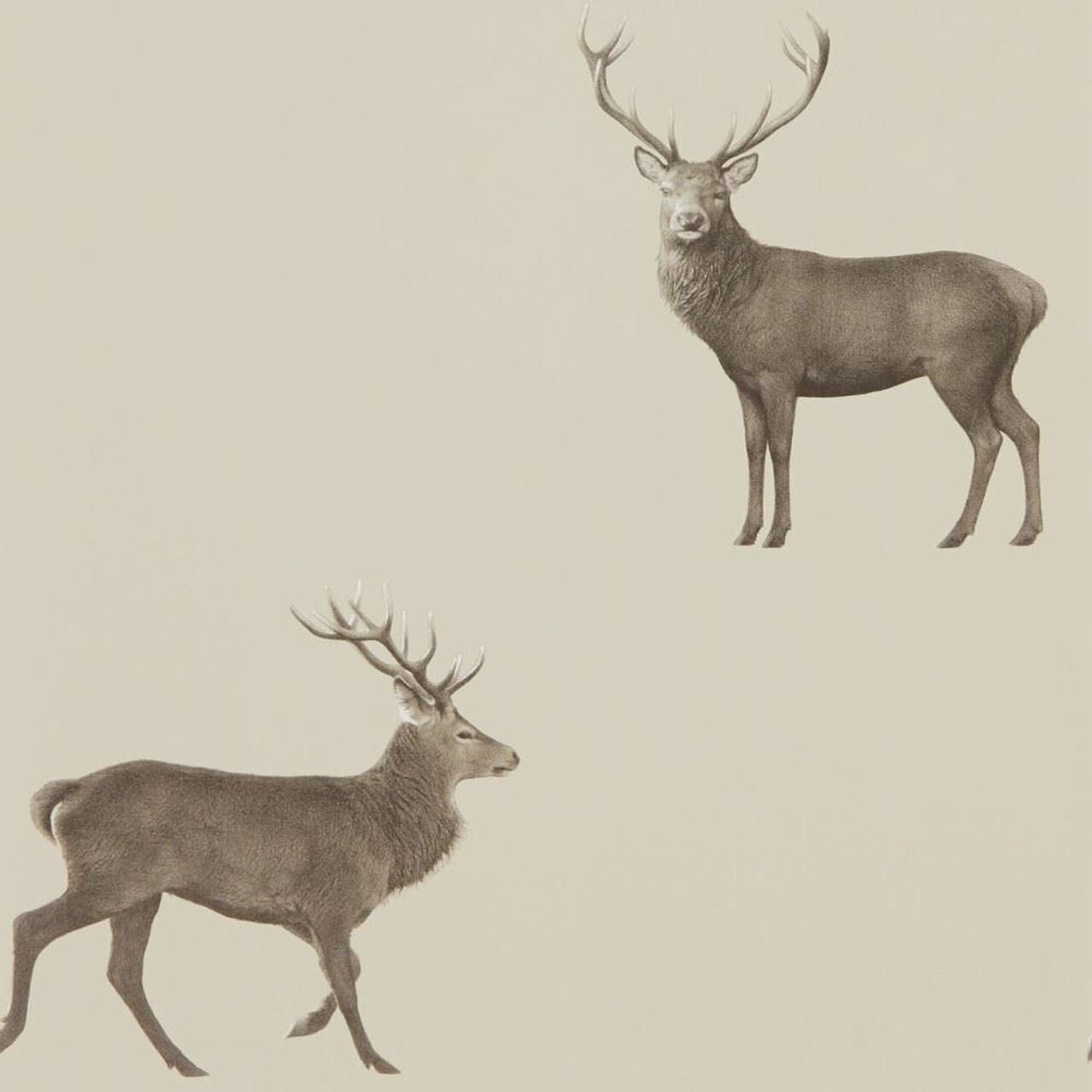 216618 Evesham Deer Elysian Wallpaper By Sanderson