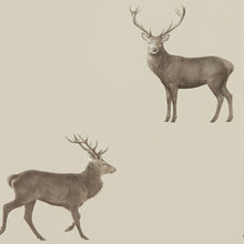 216618 Evesham Deer Elysian Wallpaper By Sanderson