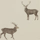 Evesham Deer Elysian Wallpaper By Sanderson