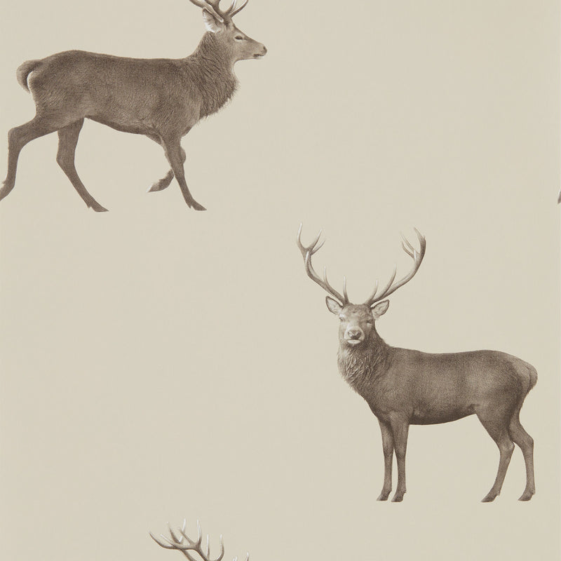 216618 Evesham Deer Arboretum Birch Wallpaper by Sanderson