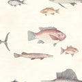 Aquatic Discovery Wallpaper By Sketch Twenty 3