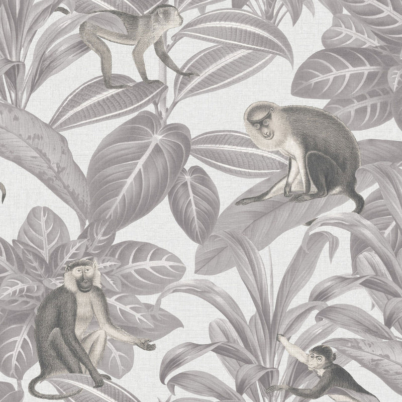 DYW0007 Indian Monkey Discovery Dusk Grey Wallpaper By Sketch Twenty 3