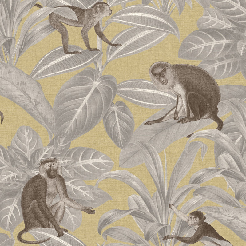 DYW0008 Indian Monkey Discovery Emperor Yellow Wallpaper By Sketch Twenty 3