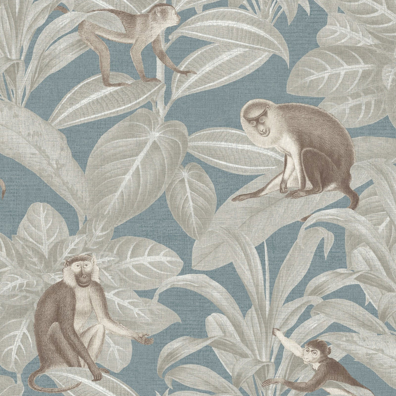 DYW0009 Indian Monkey Discovery Teal Wallpaper By Sketch Twenty 3