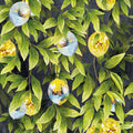 Disco Lemons Groove Inferno Wallpaper by Brand McKenzie