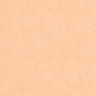 ECHA89853232 Vallauris Echappee Belle Wallpaper by Casadeco