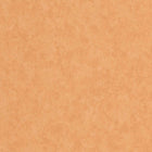 ECHA89853535 Vallauris Echappee Belle Wallpaper by Casadeco