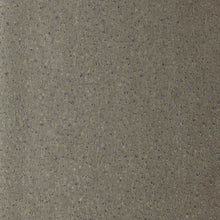 110742 Foxy Reflect Graphite Wallpaper by Harlequin