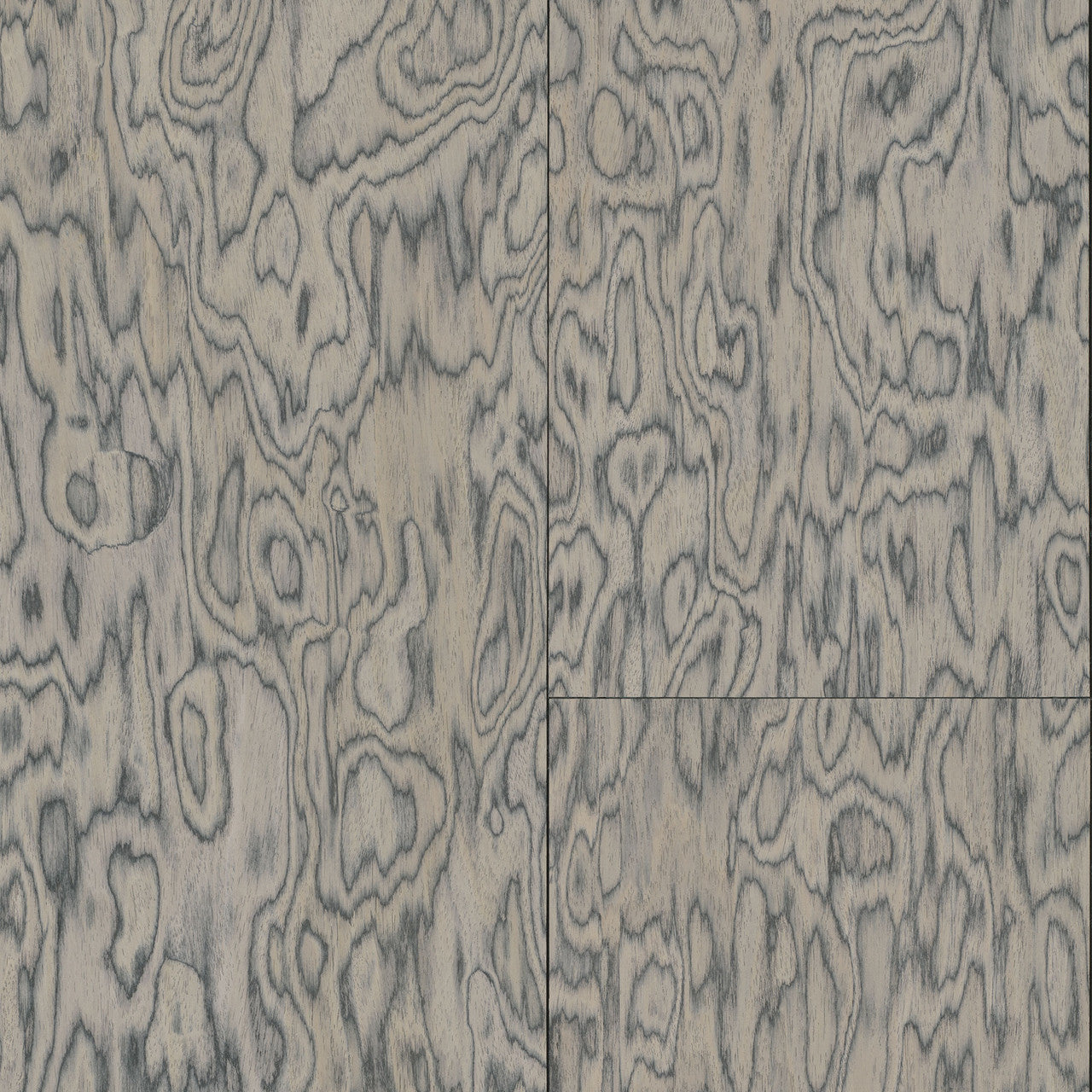 30801 Coti Emblème Shadow Wallpaper By Arte