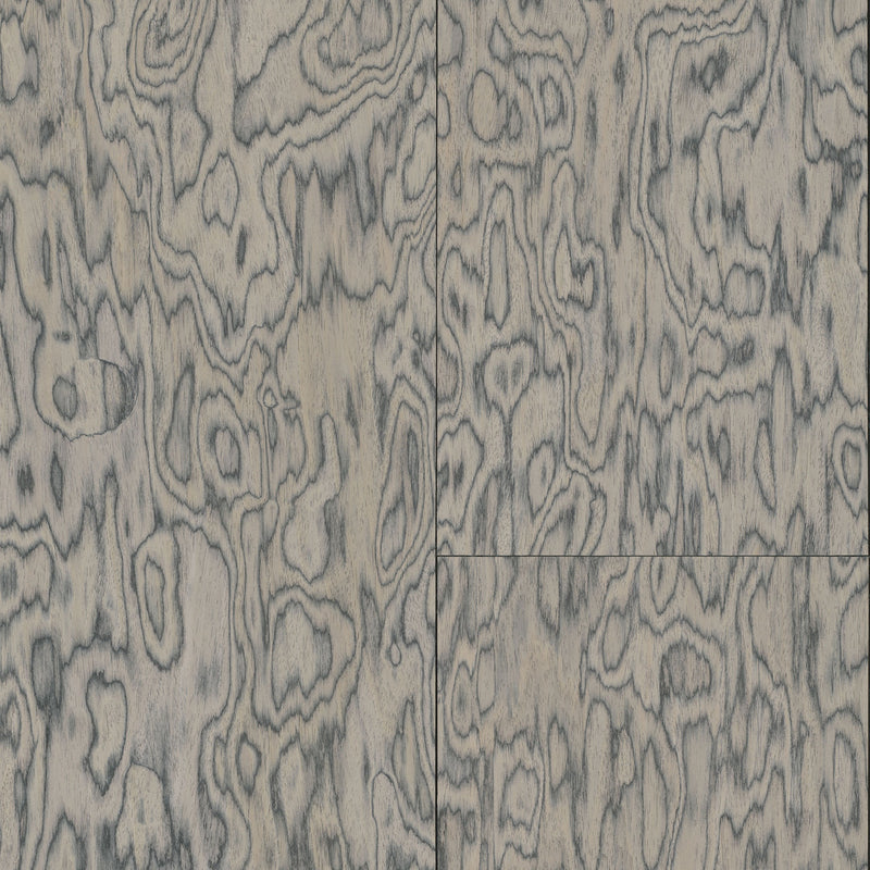 30801 Coti Emblème Shadow Wallpaper By Arte