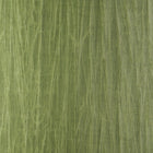 38015A Pyxis Emblème Iguana Wallpaper By Arte