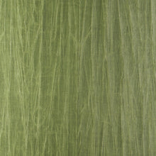 38015A Pyxis Emblème Iguana Wallpaper By Arte