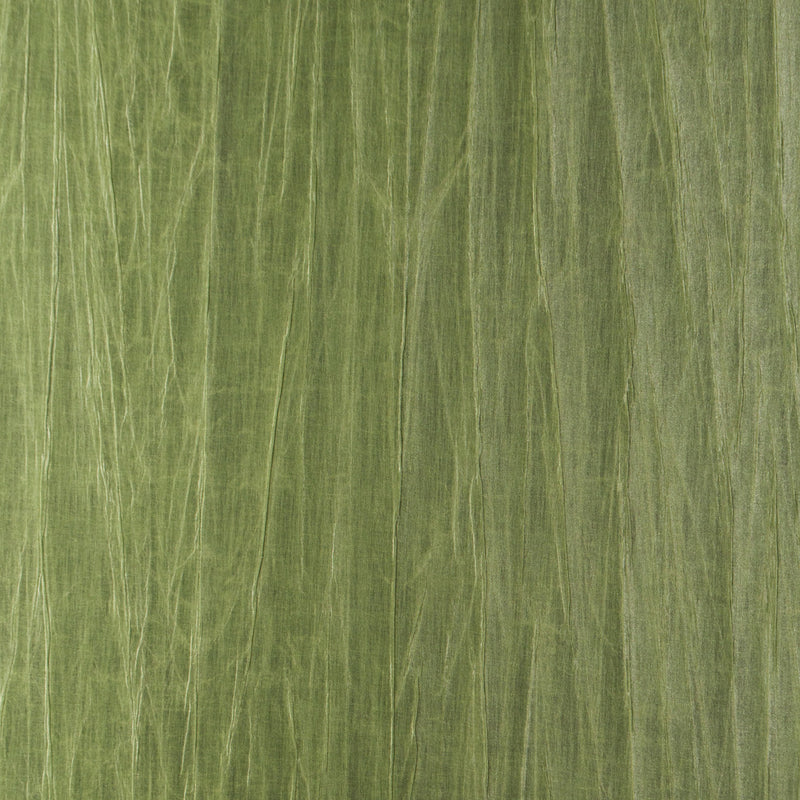 38015A Pyxis Emblème Iguana Wallpaper By Arte